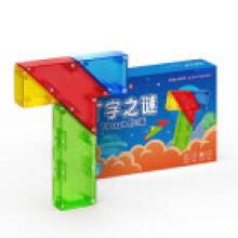 Puzzle Toy With Geometric Plastic Blocks For Children Learning And Development