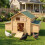 PawHut PawHut Chicken Coop with Nesting Box, Openable Top, Pull-Out Tray, Yellow 2