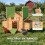 PawHut PawHut Chicken Coop with Nesting Box, Openable Top, Pull-Out Tray, Yellow 5
