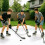 Synthetische Eisfliesen, 10er-Pack, UHMW-PE, 46,5 cm 3