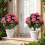 Conjunto de 2 Gerânios Artificiais Rosa, para Ambientes Internos e Externos 2