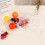 Snack Serving Tray Luxurious Plate Fruit Nuts Sweet Kitchen Candy Storage Tray with Lid(B) 10