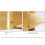 Hand-Drip Coffee Filter Paper Holder with Lid for  Tapered Filter Paper Box Storage Rack Dust-Proof 5