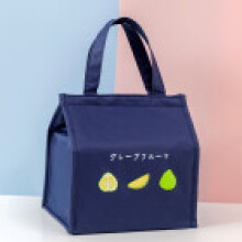 (Navy) Ice Pack Reusable Bag For Picnic And Food Preservation Design With Print
