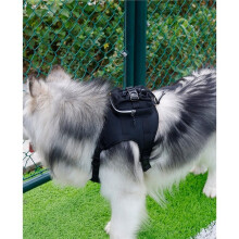 Esta Mochila, Diseñada Específicamente para Perros de Tamaño Mediano A , Es Adecuada para Paseos con Mascotas, Entrenamiento