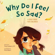 Why Do I Feel So Sad by Tracy Lambert Paperback Book