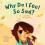 Why Do I Feel So Sad by Tracy Lambert Paperback Book 1