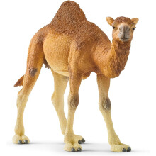 schleich Wild Life - 4" Dromedary Figurine with Realistic Hump - Durable Safari Camel Toy - Desert Animal Figure Educational Toy - Ages 3+ | 14832