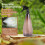 3Pcs 1L Empty Spray Bottle,Refillable Sprayer Leak Proof Durable Sprayer Empty Spray Bottles for Cleaning,Gardening,Etc 5