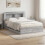 VidaXL vidaXL Bed Frame with Storage Grey Sonoma 150 x 200 cm Engineered Wood 1