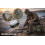 Roddarch Complete Sea Fishing Kit with 10ft Telescopic Rod & Seat Box 5