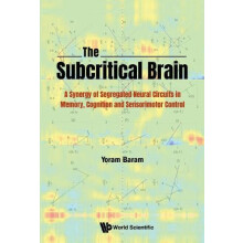 SUBCRITICAL BRAIN THE by BARAM YORAM Hardcover Book
