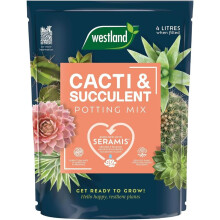 Westland Cacti & Terrarium Potting Mix 4L Free Draining Specialist Compost