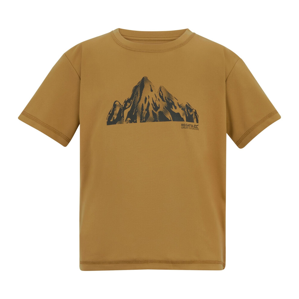 Regatta (13 Years, Wood Brown) Childrens/Kids Alvarado Back Print T-Shirt