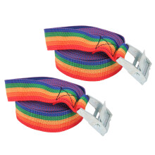 Zurrgurt Schnellverschluss 3m 25mm bunt Zink-Eisen