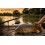 Hunter Pro 11' Feeder Rod with Twin Tips 7