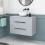 NES Home Wall Hung 800mm Matte Grey Vanity With Basin and Matte Grey Worktop 2