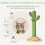 Arbre à chat - HELLOSHOP26 - Cactus 32x60 - Compact - Sisal naturel - Plateforme 2 niveaux 3