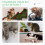 Arbre à chat - HELLOSHOP26 - Cactus 32x60 - Compact - Sisal naturel - Plateforme 2 niveaux 5