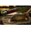 Hunter Pro 12ft SLR Carbon Carp Rods: 3-Piece Set 2