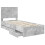 VidaXL vidaXL Bed Frame with Drawer Concrete Grey 75 x 190 cm Engineer Wood 3
