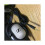 Sennheiser Hd 201 Closed Dynamic Stereo Headphones for Studio, Performance Live And Djs 2
