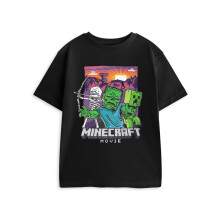 (13-14 Years) Minecraft Short Sleeved T-Shirt (Boys Black)