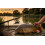 Hunter Pro 11ft Feeder Rod & HP50R Reel 2