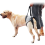 Pet Rehabilitation Harness  XL 4