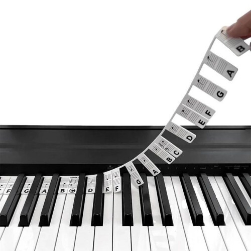 Beginner's Guide to Piano Notes - Removable Silicone Piano Note Labels - 88 Full-Size Keys