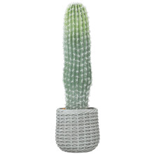 Cactus Artificial Verde 20 x 20 x 66 cm