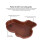 Reptile bowl - Large water bowl - Ramp and basking platform - Plastic - Brown 4
