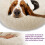 Cushion - MAGICFOX - Donut - Soft Plush - Non-slip - Machine Washable 3