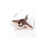Interactive Toy - Flying Bird - Realistic Sounds - USB Charging - Soft Plush 6