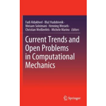 Current Trends and Open Problems in Computational Mechanics Hardcover