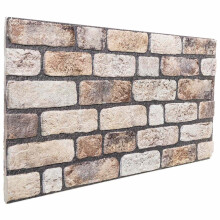 vidaXL Wall Panels 10 pcs Light Brown 100 x 50 cm EPS Foam