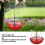 Vogelfutterspender mit Solarbrunnen Rot 5