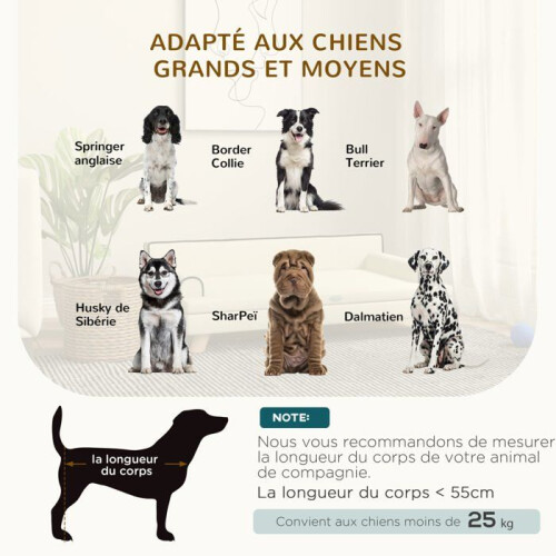 Cama para cachorro e gato com almofada removível, conforto e assento macio 100 x 62 x 32 cm 2