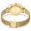 Swarovski 5649993 Octea Nova Gold Ladies Watch 3