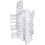 (4.3CM) 10 Pcs Acrylic Triangle Displays - Clear Plastic Collectibles Display (Small) 1