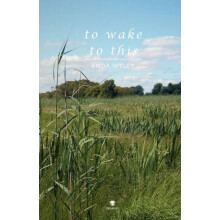To Wake to This by Enda Wyley Paperback Book