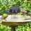 Solar Wiggler Brunnen Wasser Welle Gartenteich 1
