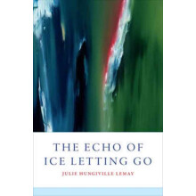 The Echo of Ice Letting Go by Julie LeMay Paperback Book