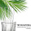 2 Pack Lid Replacement 40oz, with Leak Proof and Flip Straw Lid, Cup Accessories 2