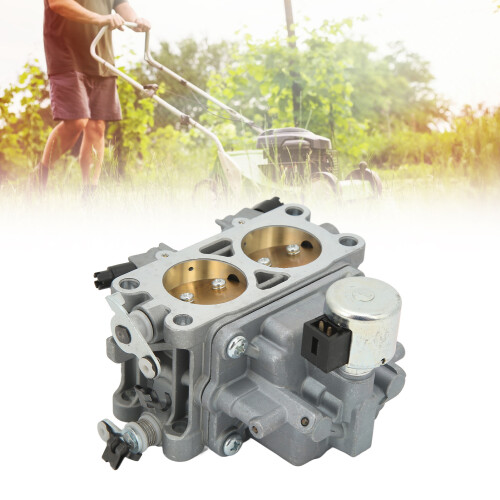 Passender Vergaser für Briggs & Stratton 2