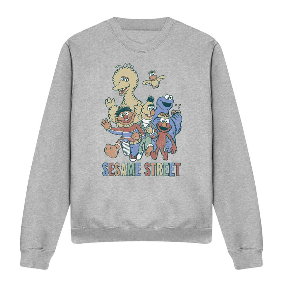 Sesame Street (Xxl, Athletic Heather) Unisex Adult Group Sweatshirt