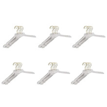 30 Pcs Clear Acrylic Clothes Hanger with Gold Hook, Transparent Shirts Dress Hanger with Notches for Lady Kids L