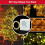 2X DIY Christmas Sound Sensor with LED String Decorative Lights Christmas Music Speaker White 6