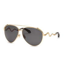 Women's Glasses Roberto Cavalli Src090M650300