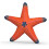 Schleich Schleich Wild Life Starfish 14902 1